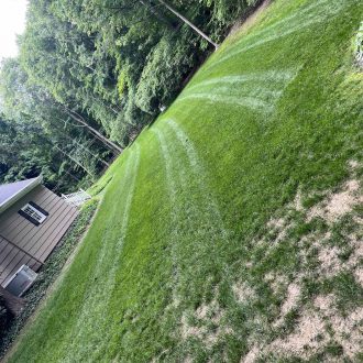 life-green-lawn-care-llc-49